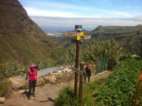 13082658_1078281562210701_7527209787962934509_n