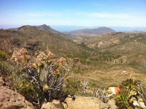 Cruz grande- La Plata