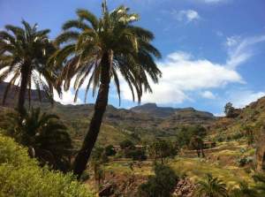 Santa Lucía a La Sorruea