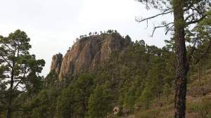 Circular Aserrador a Inagua